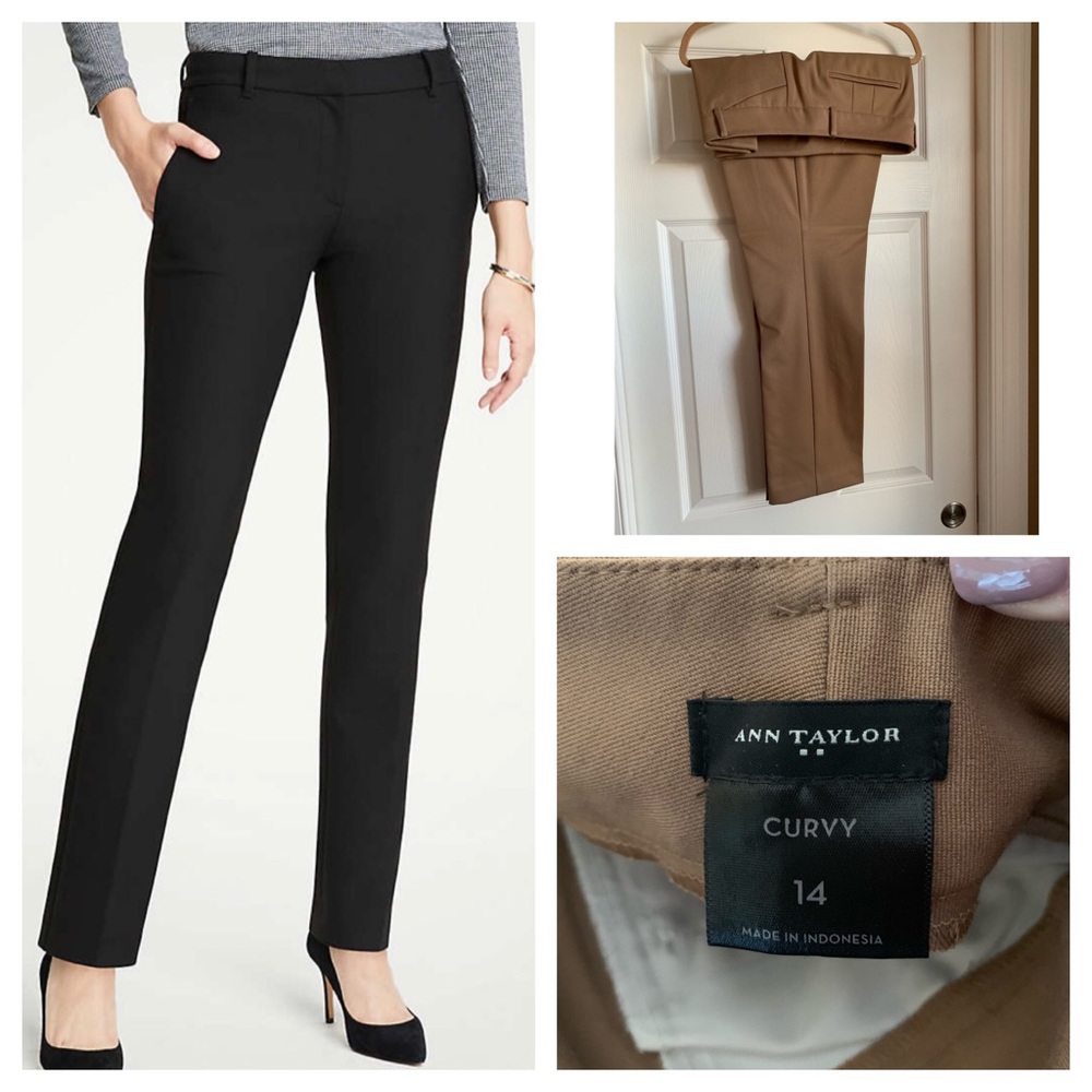 Ann Taylor Dress Pants